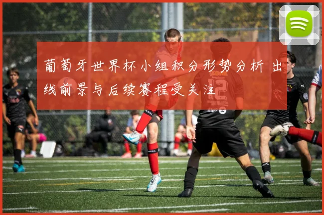 葡萄牙世界杯小组积分形势分析 出线前景与后续赛程受关注