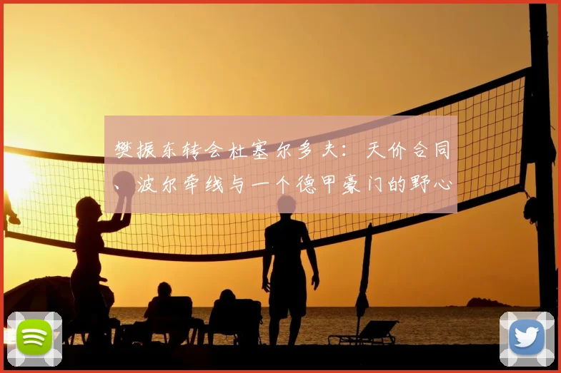 樊振东转会杜塞尔多夫:天价合同、波尔牵线与一个德甲豪门的野心