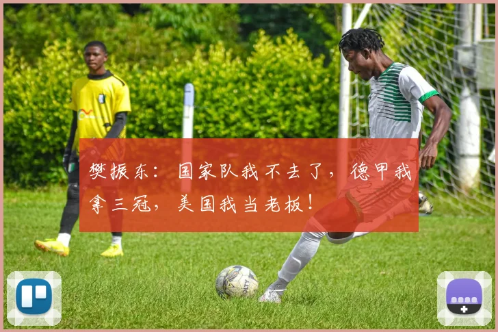 樊振东:国家队我不去了,德甲我拿三冠,美国我当老板!
